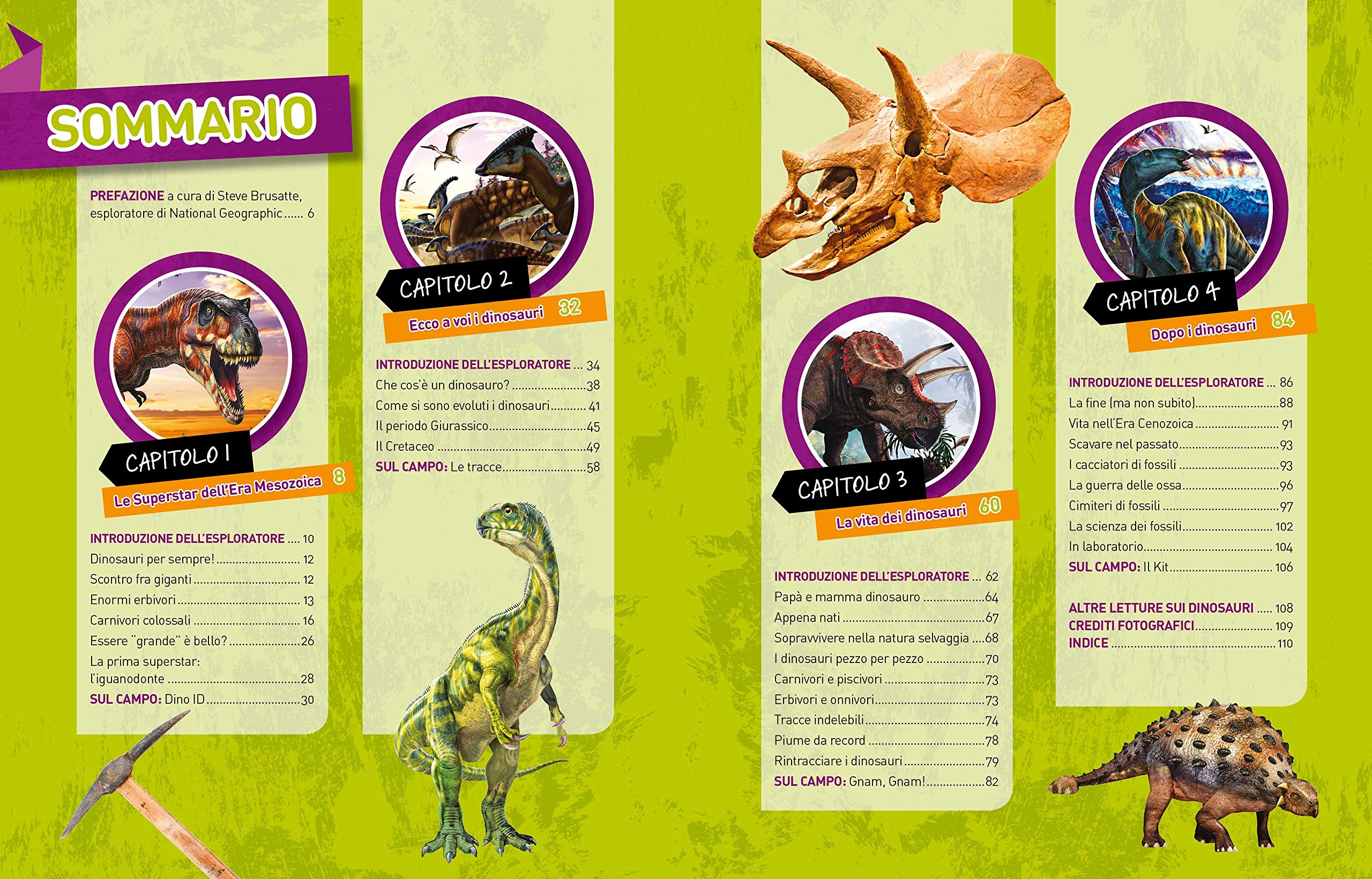 National Geographic Kids – Libri Dinosauri Absolute expert libro