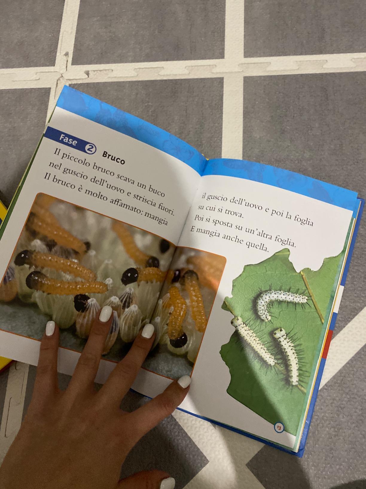 National Geographic Kids – Libri Da bruco a farfalla libro