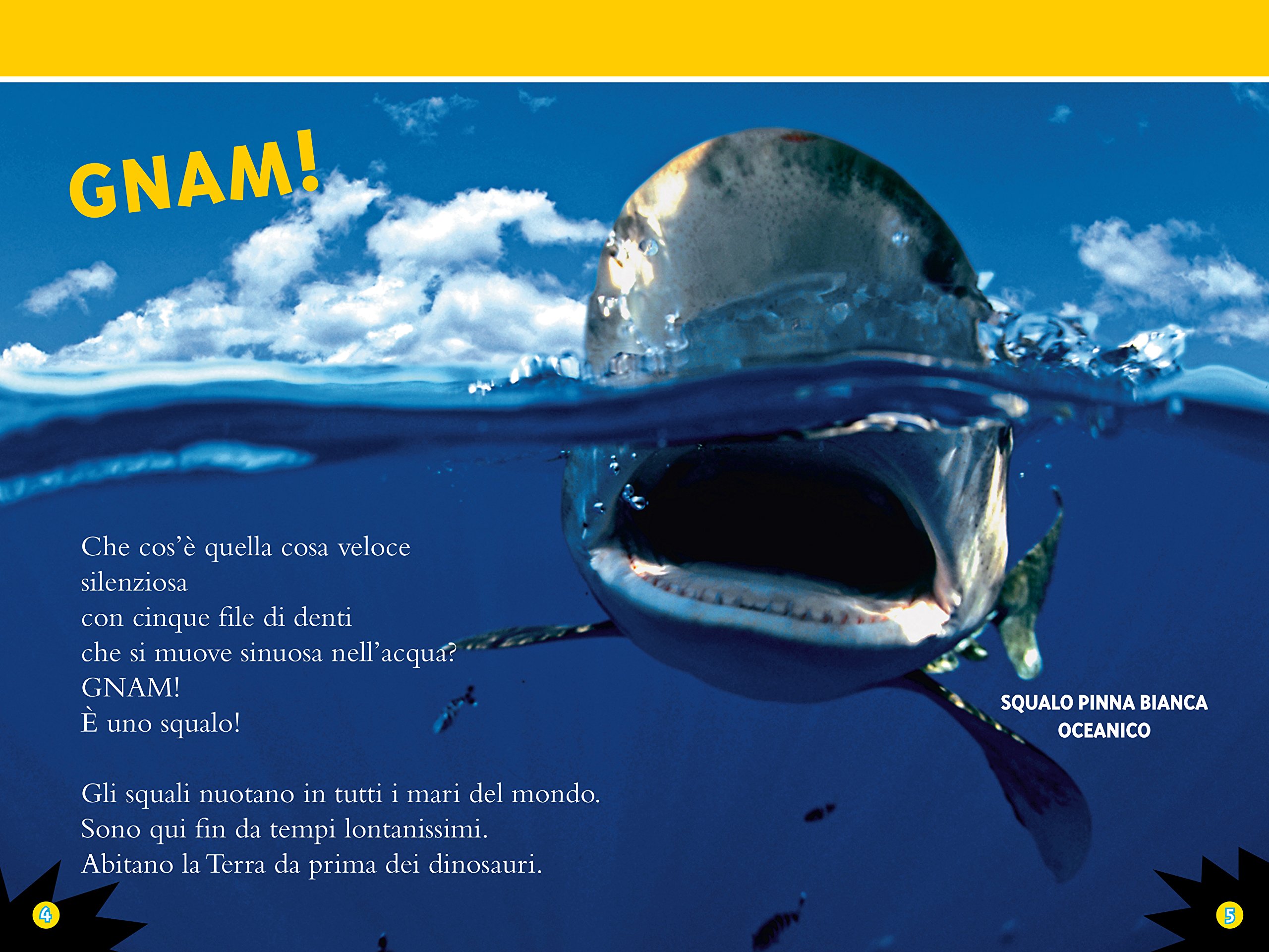 National Geographic Kids – Libri Squali. Livello 3 libro a colori