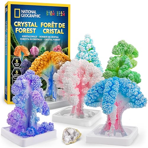 National Geographic Kit scientifici e di scoperta Kit Creativo per Coltivare 6 Alberi di Cristallo