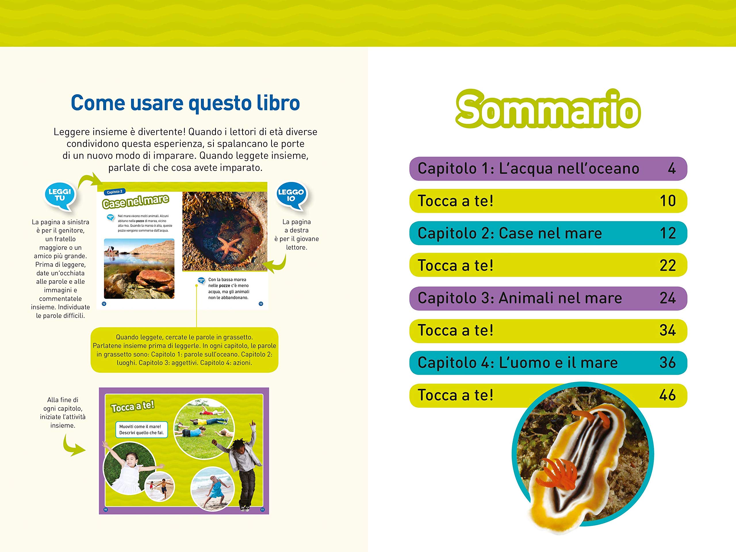National Geographic Kids – Libri La vita nel mare libro livello 1 a colori