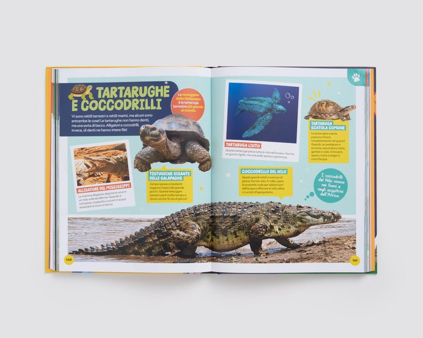 National Geographic Kids – Libri La mia prima grande enciclopedia. Ediz. a colori libro