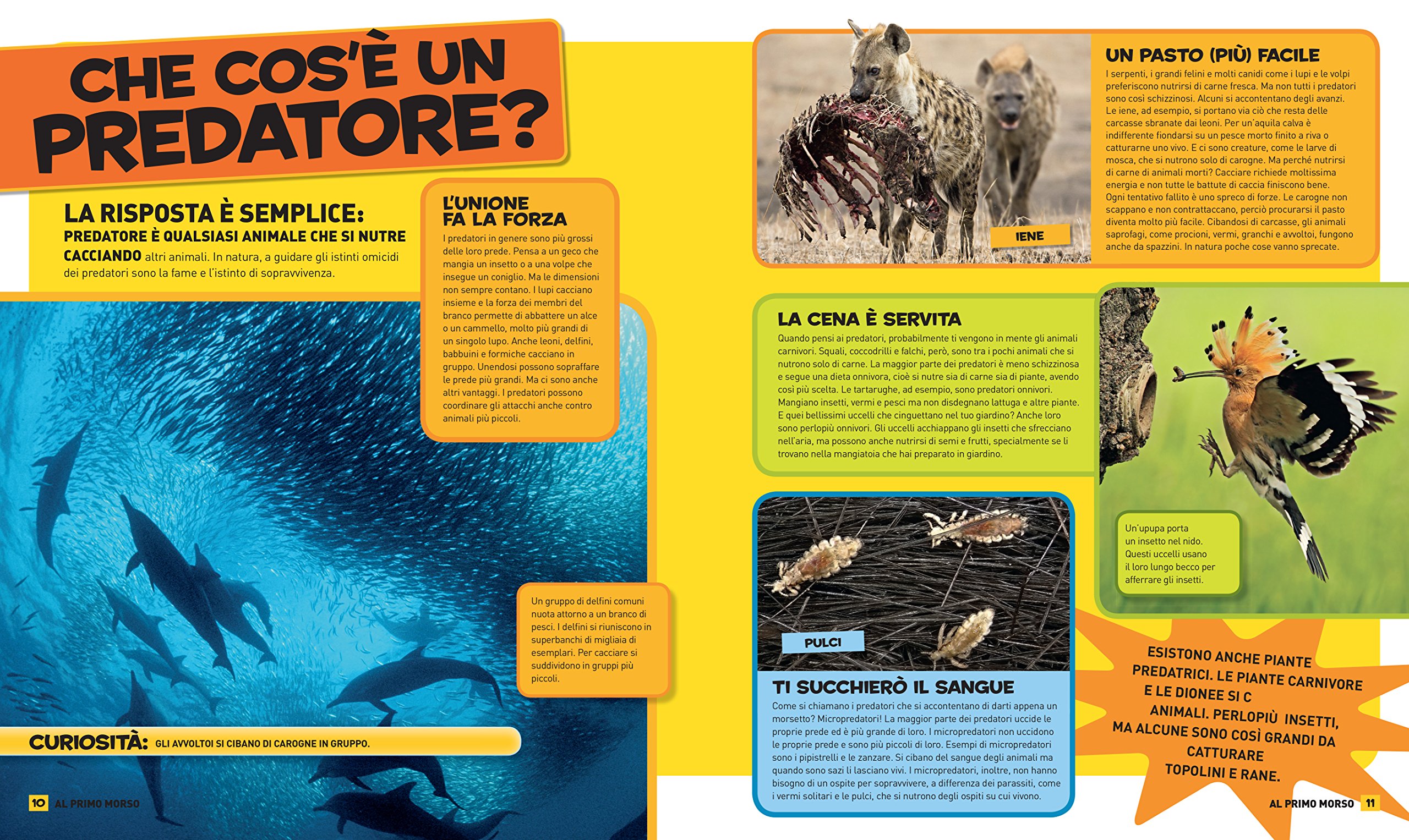 National Geographic Kids – Libri Tutto sui predatori. Ediz. a colori libro