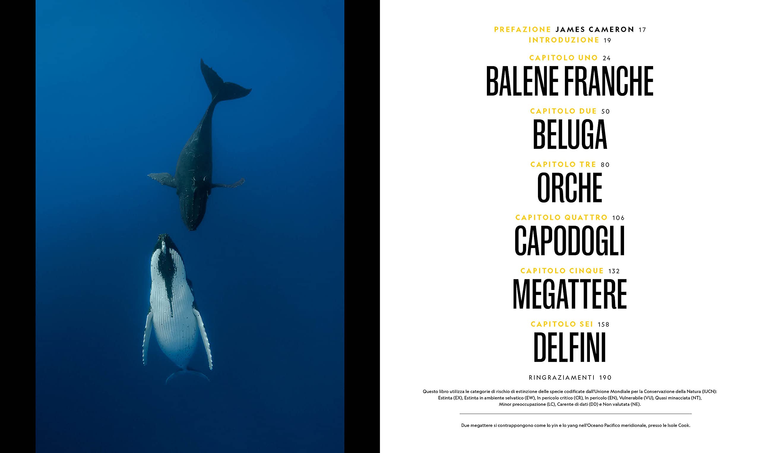 National Geographic – Libri Balene. I segreti dei più grandi mammiferi viventi libro a colori
